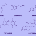 Homeopathy and Hormones
