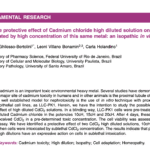 Putative protective effect of Cadmium chloride high diluted solution on LLC-PK1 cell intoxicated by high concentration of this same metal: an *isopathic in vitro study